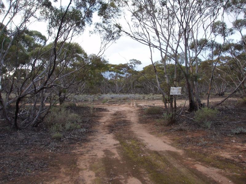 Section 47 Sleeper Track Road, Swan Reach SA 5354