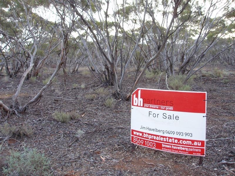 Section 47 Sleeper Track Road, Swan Reach SA 5354