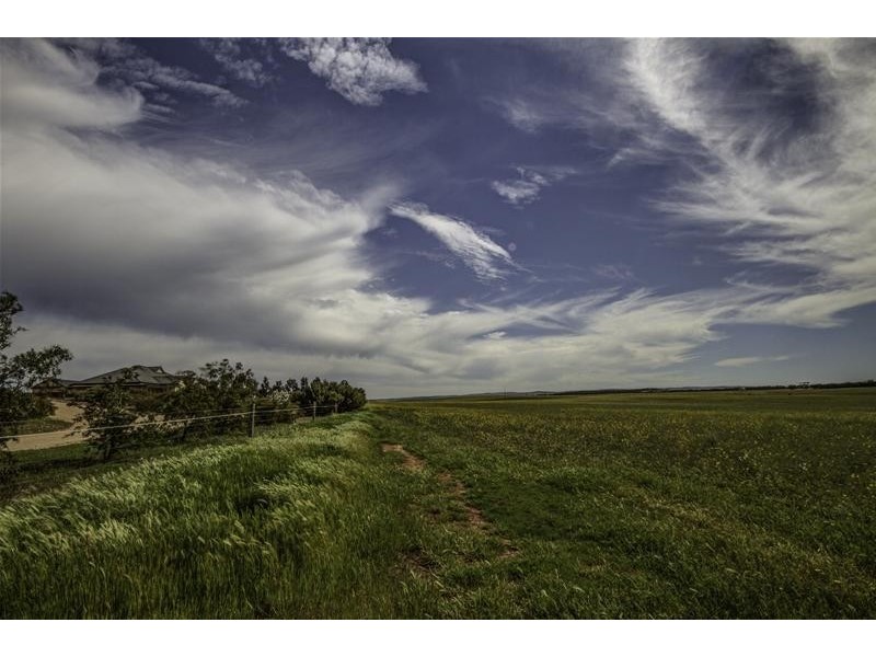 39 Ridley Road, Mannum SA 5238