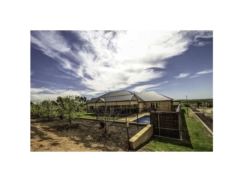 39 Ridley Road, Mannum SA 5238