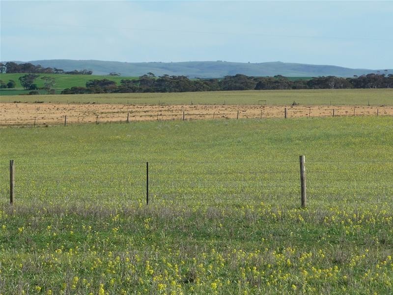 39 Ridley Road, Mannum SA 5238