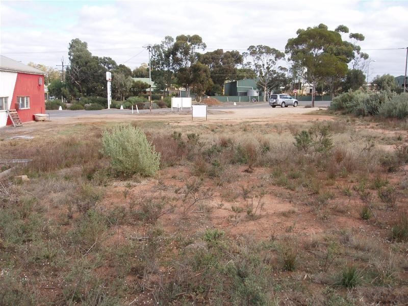Lot 390 Adelaide Road, Mannum SA 5238