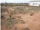Lot 390 Adelaide Road, Mannum SA 5238