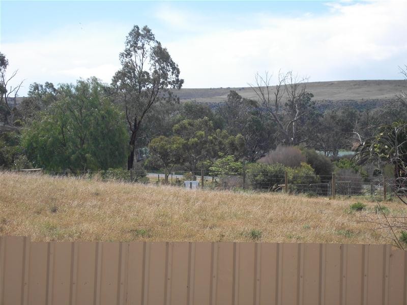 Lot 65 Tom Groggin Drive, Younghusband SA 5238