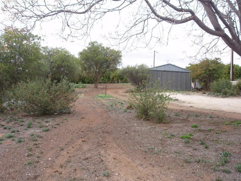 Lot 114 Swan Reach Road, Nildottie SA 5238