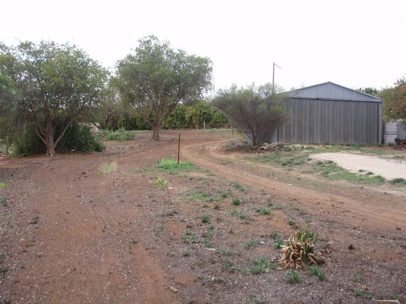 Lot 114 Swan Reach Road, Nildottie SA 5238