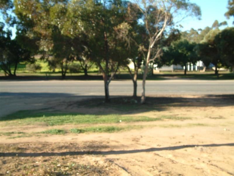 62 Adelaide Road, Mannum SA 5238