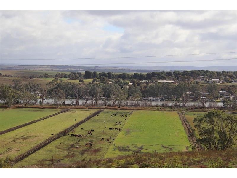 24 Lahne Road Cowirra via, Mannum SA 5238