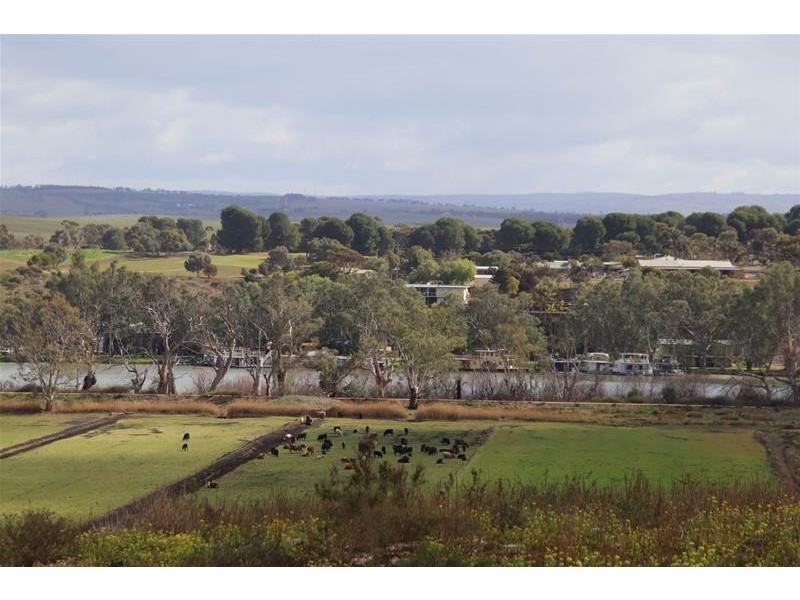 24 Lahne Road Cowirra via, Mannum SA 5238