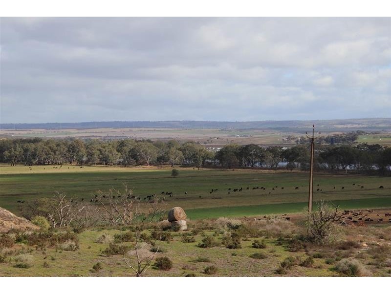 24 Lahne Road Cowirra via, Mannum SA 5238