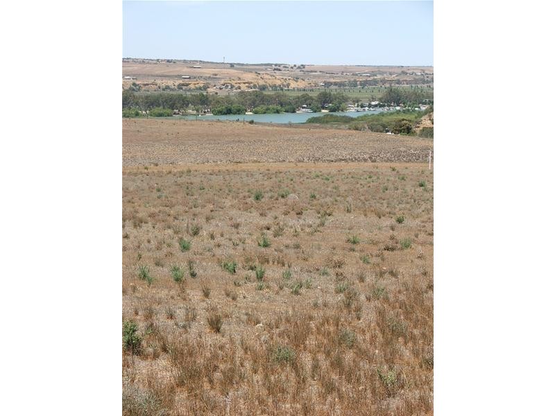 Lot 24 Shearer Heights Road, Mannum SA 5238