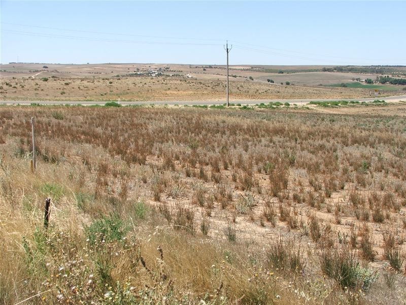 Lot 24 Shearer Heights Road, Mannum SA 5238