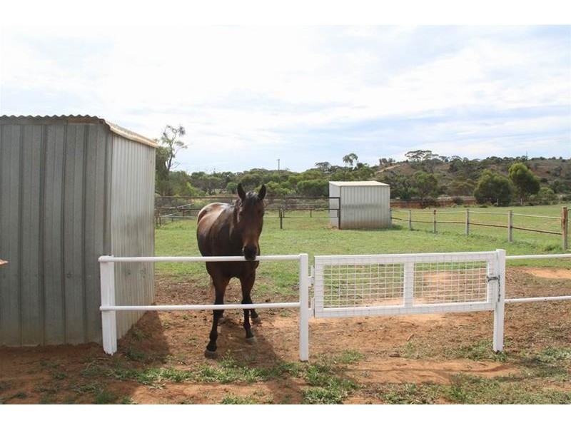 204 Ridley Road, Mannum SA 5238