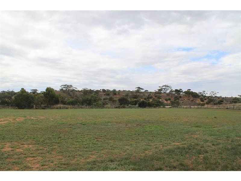 204 Ridley Road, Mannum SA 5238