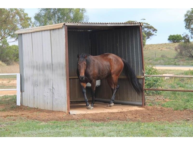 204 Ridley Road, Mannum SA 5238