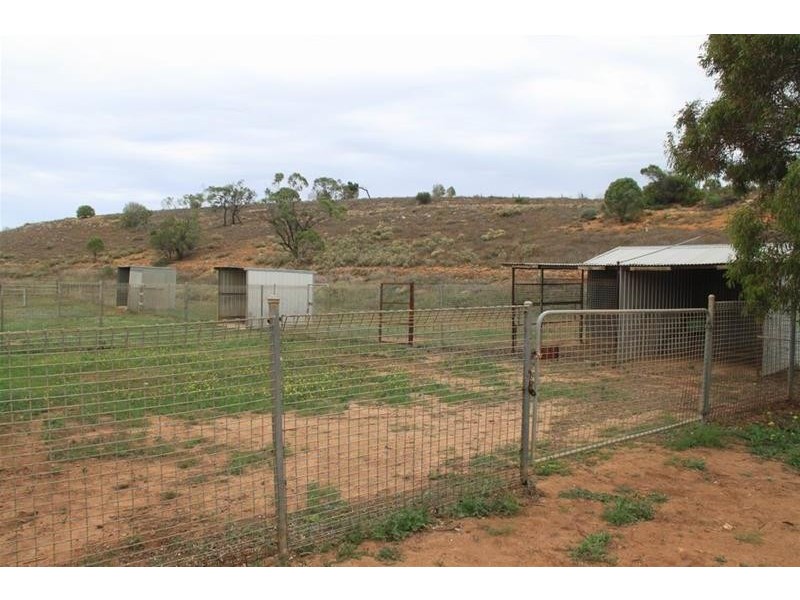 204 Ridley Road, Mannum SA 5238