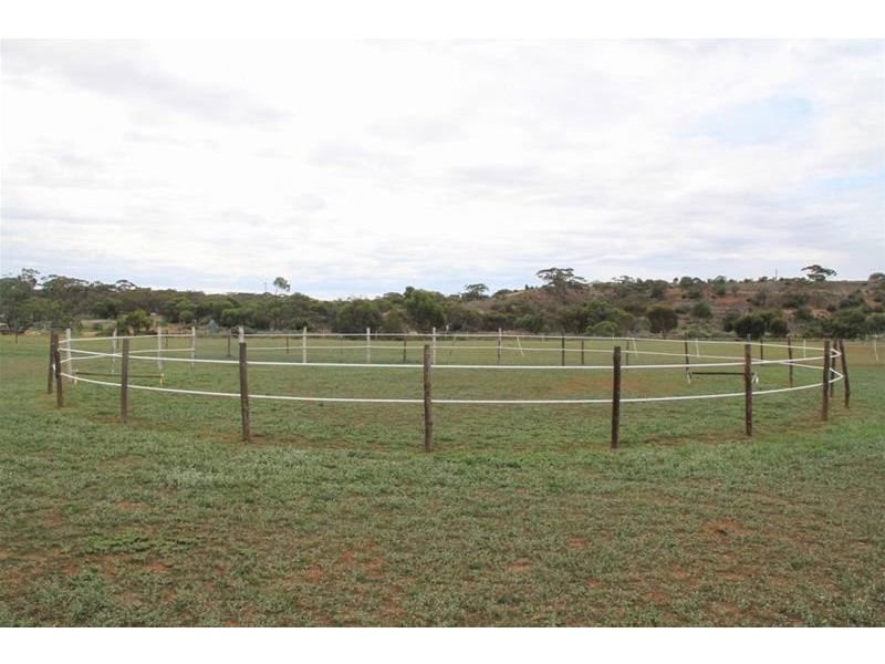 204 Ridley Road, Mannum SA 5238