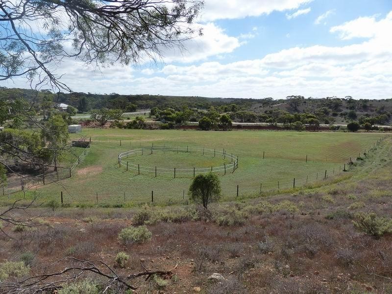 204 Ridley Road, Mannum SA 5238