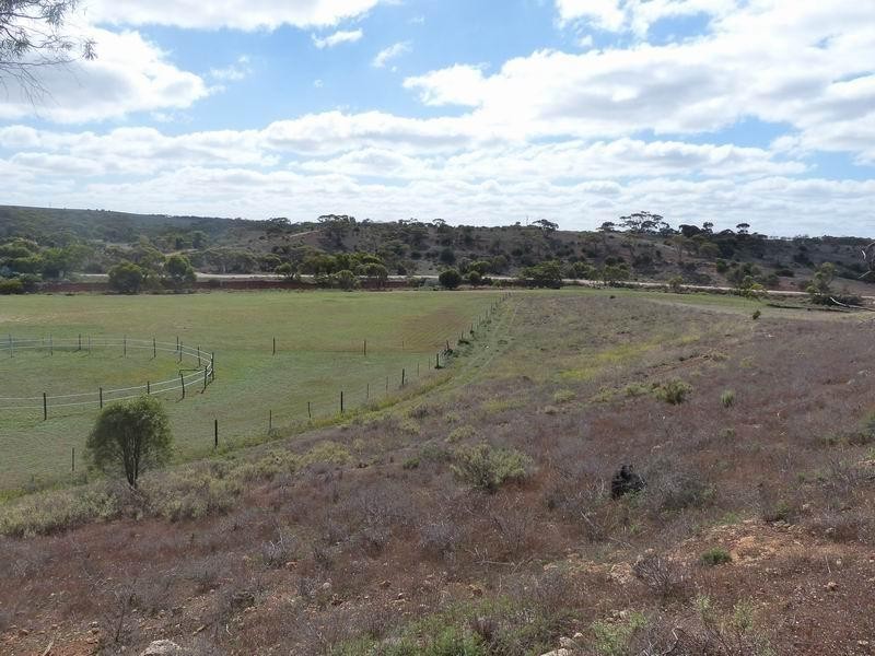 204 Ridley Road, Mannum SA 5238