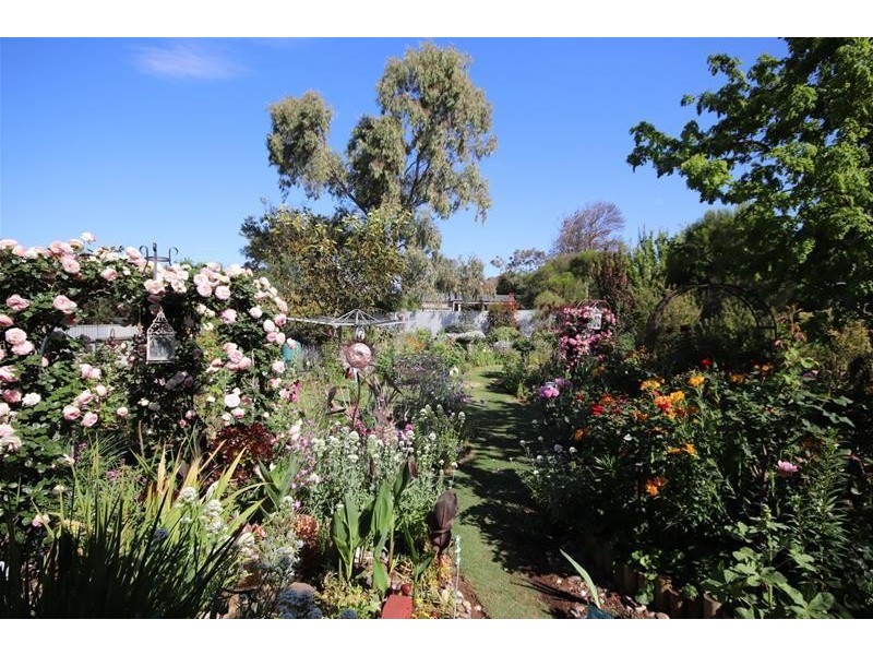 19 Mau Street, Mannum SA 5238