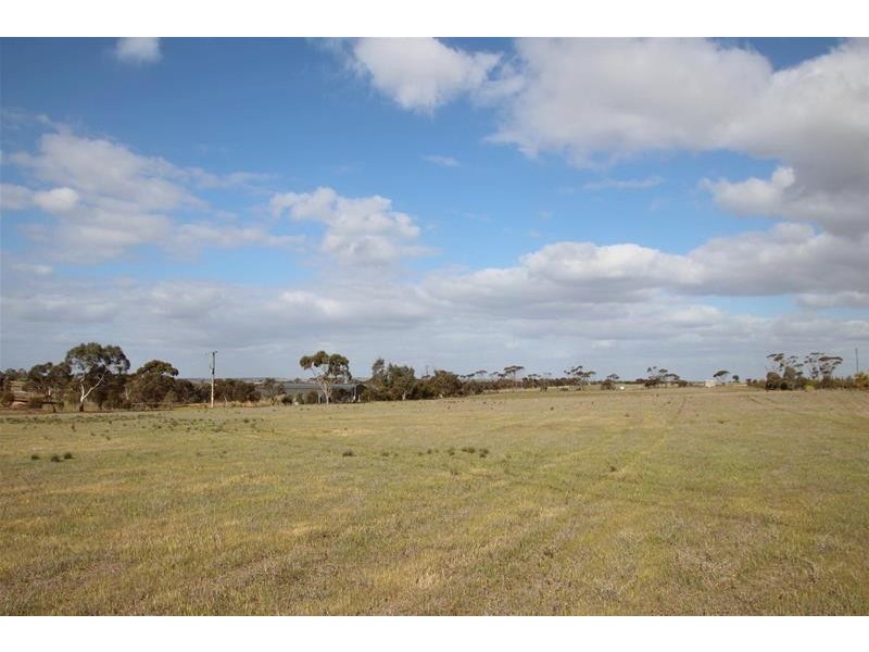 Allotments 91 Ridley Budarick Road, Mannum SA 5238