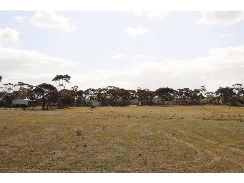 Allotments 91 Ridley Budarick Road, Mannum SA 5238