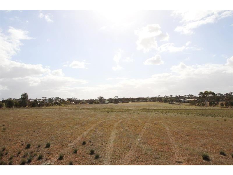Allotments 91 Ridley Budarick Road, Mannum SA 5238