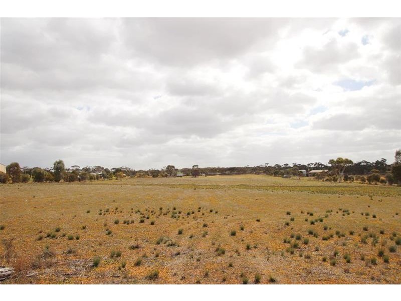 Allotments 91 Ridley Budarick Road, Mannum SA 5238