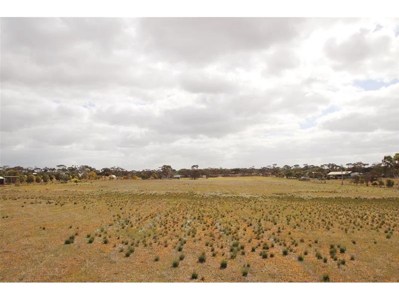 Allotments 91 Ridley Budarick Road, Mannum SA 5238