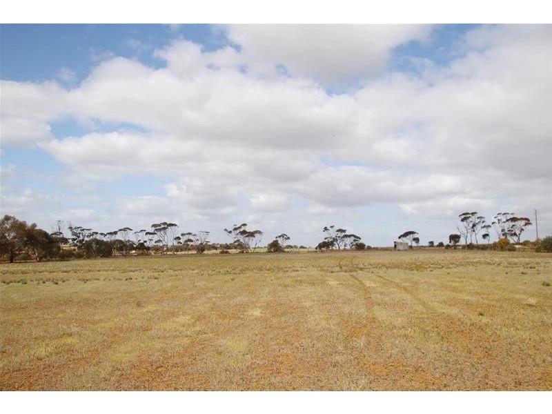 Allotments 91 Ridley Budarick Road, Mannum SA 5238