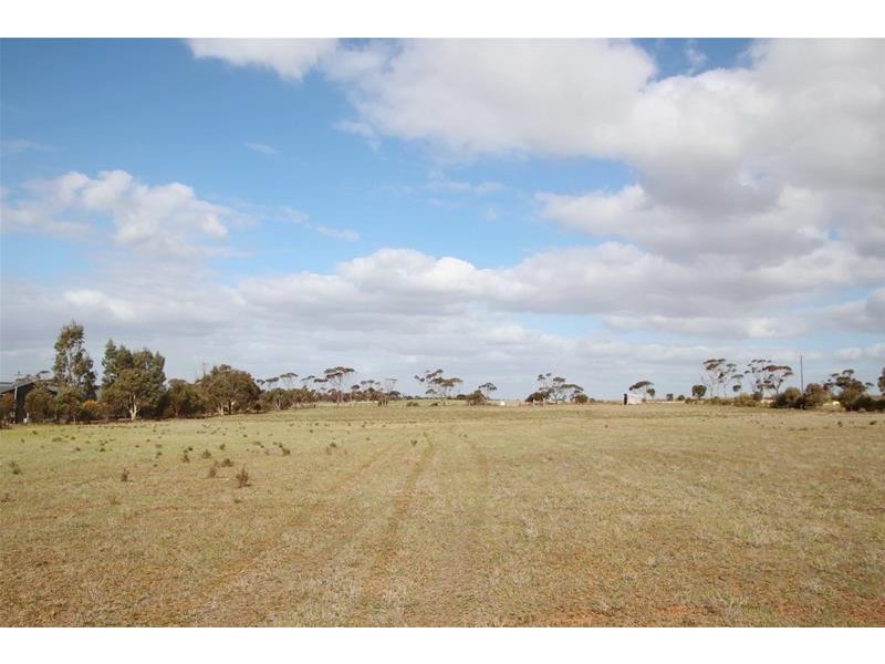 Allotments 91 Ridley Budarick Road, Mannum SA 5238