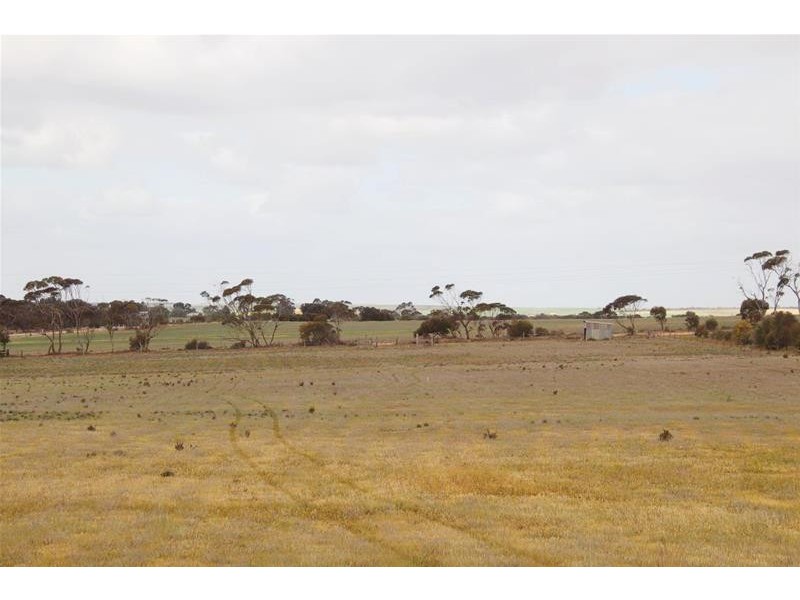 Allotments 91 Ridley Budarick Road, Mannum SA 5238