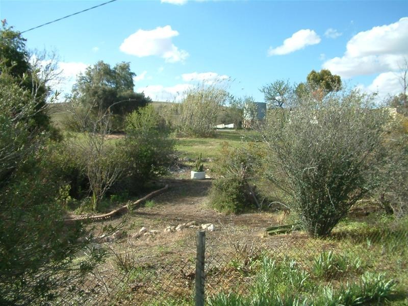 45 & 46 Forster Street, Purnong SA 5238