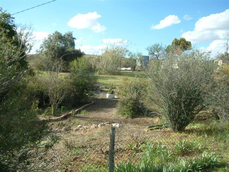 45 & 46 Forster Street, Purnong SA 5238