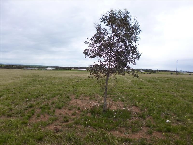 Lot 12, 92 Magpie Crescent, Mannum SA 5238