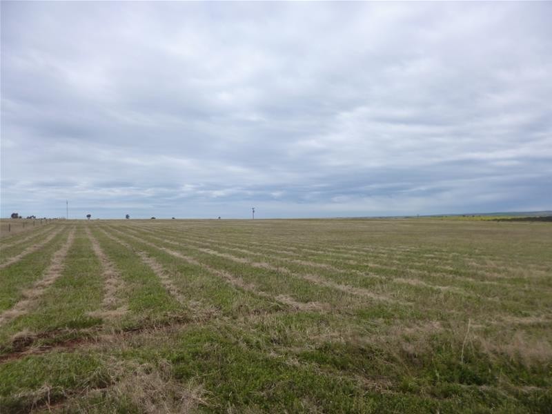 Lot 12, 92 Magpie Crescent, Mannum SA 5238