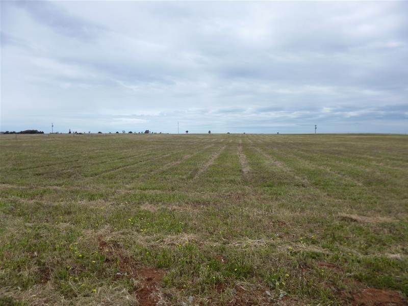 Lot 12, 92 Magpie Crescent, Mannum SA 5238