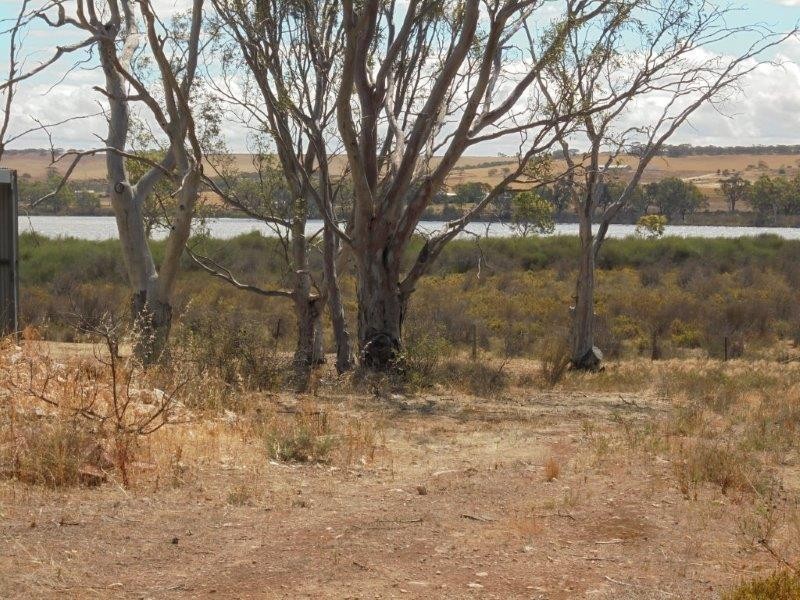 30 Rob Loxton Road, Walker Flat SA 5238