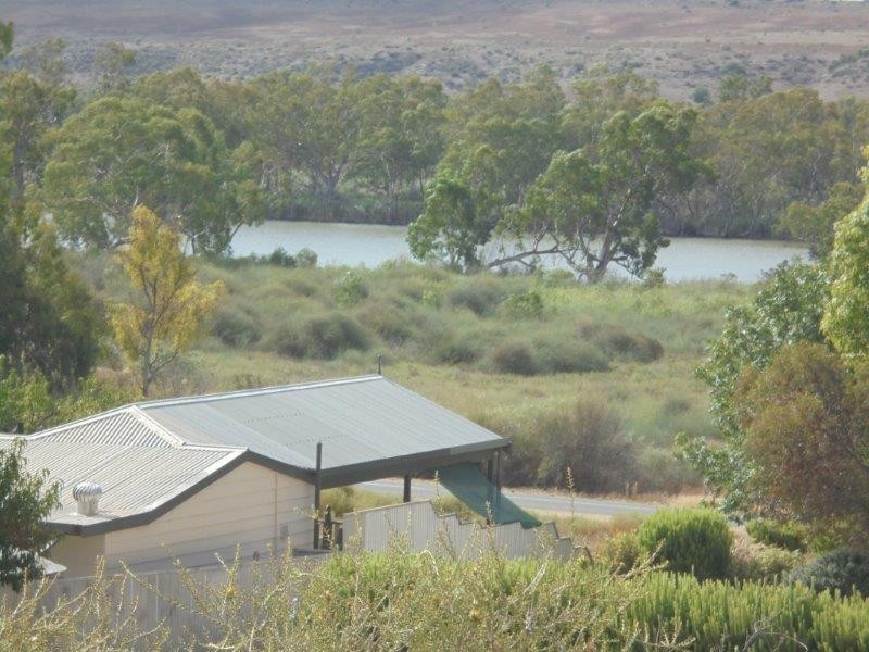 62 Tom Groggin Drive, Younghusband SA 5238