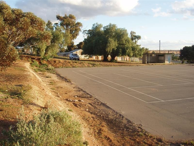 Lot 149 Swan Reach Road, Nildottie SA 5238