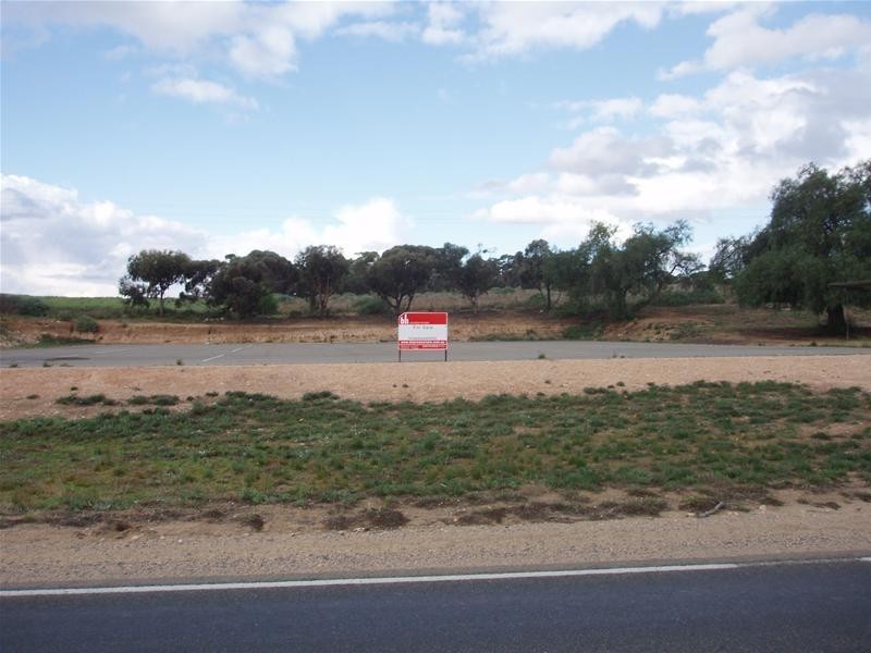 Lot 149 Swan Reach Road, Nildottie SA 5238