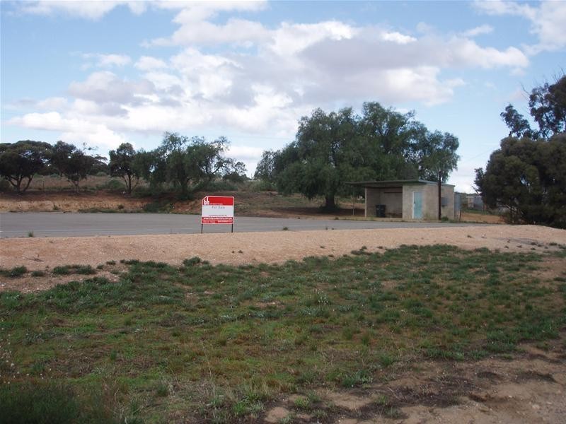 Lot 149 Swan Reach Road, Nildottie SA 5238