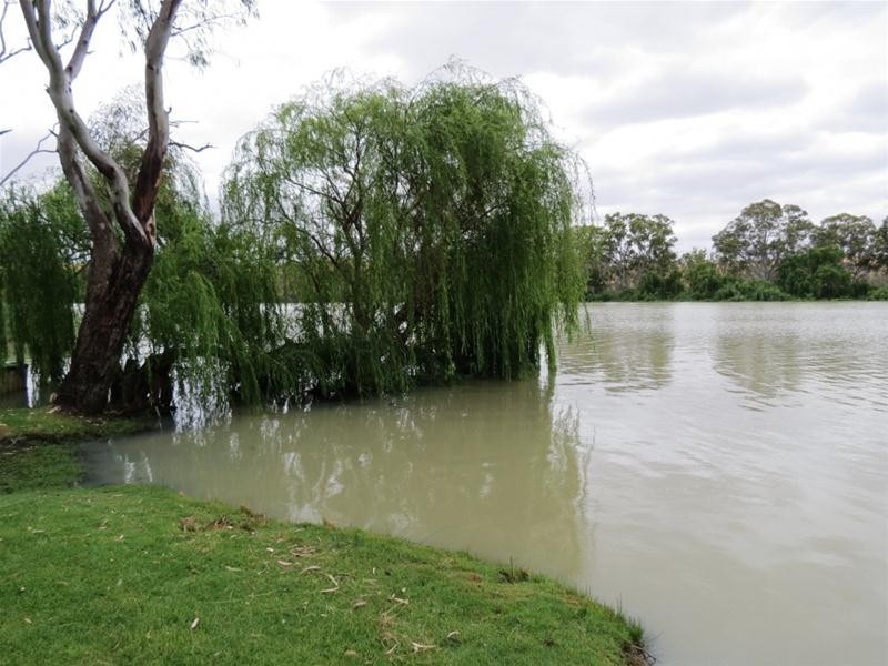 Site 22 Younghusband Holdings, Younghusband SA 5238