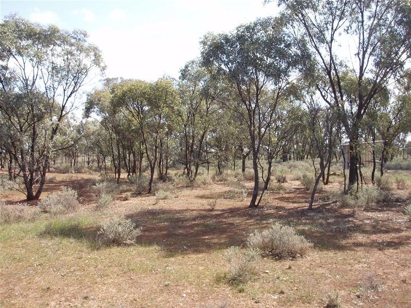 Lot 6 Diagonal Road, Annadale SA 5356