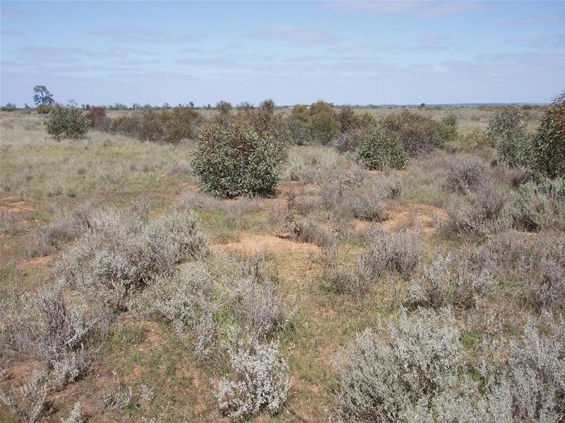 Lot 6 Diagonal Road, Annadale SA 5356