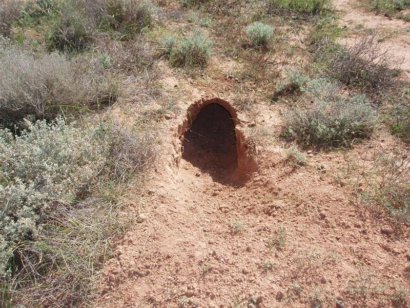 Lot 6 Diagonal Road, Annadale SA 5356