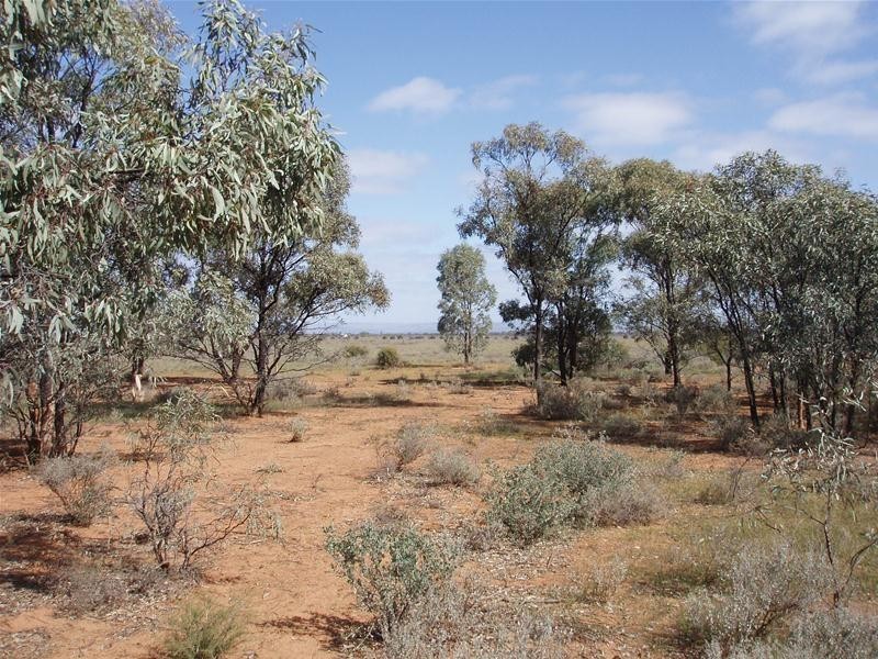 Lot 6 Diagonal Road, Annadale SA 5356