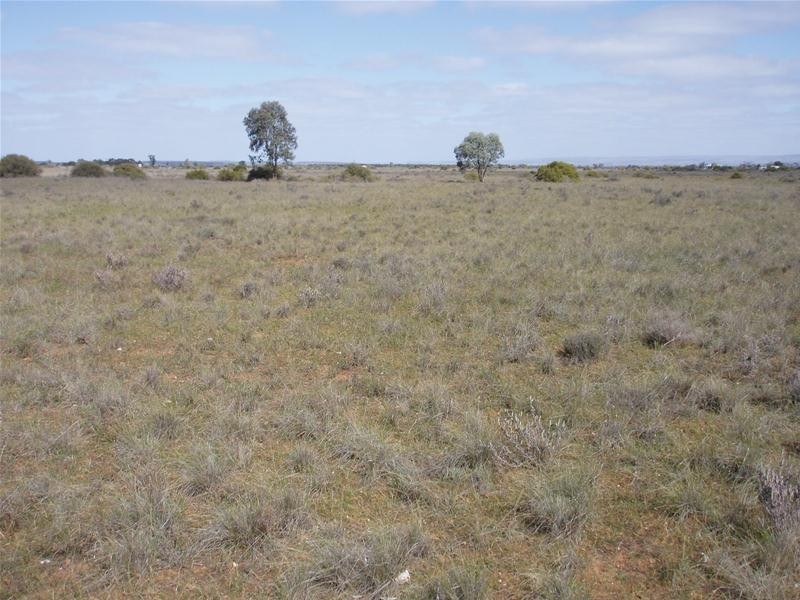 Lot 6 Diagonal Road, Annadale SA 5356