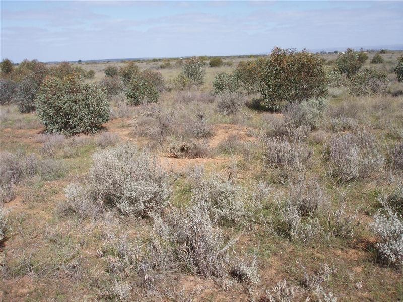 Lot 6 Diagonal Road, Annadale SA 5356