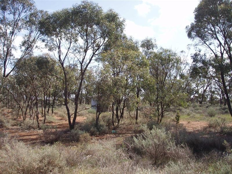 Lot 6 Diagonal Road, Annadale SA 5356